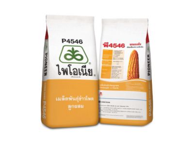 ไพโอเนีย P4546
