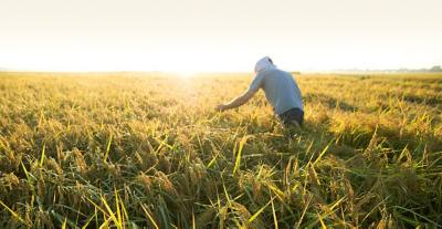 ルミスパンスFSヘッダー