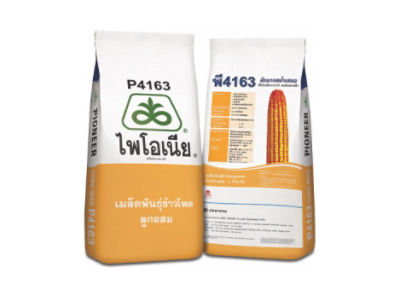 ไพโอเนีย P4163