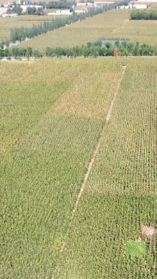 科技小院一期-丰收成果