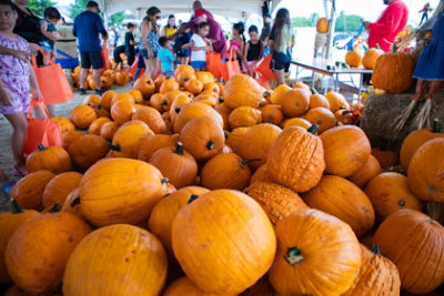 Hawai`i Event Participants and Adventures