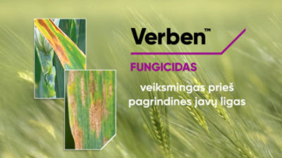 1 Verben - At a Glance