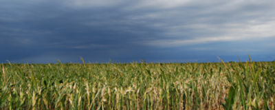 fild below, dark sky above