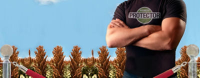 Ahora tu sorgo sí está protegido