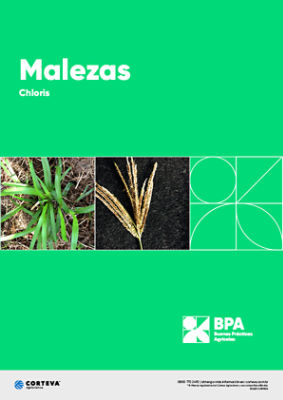 Malezas: Chloris