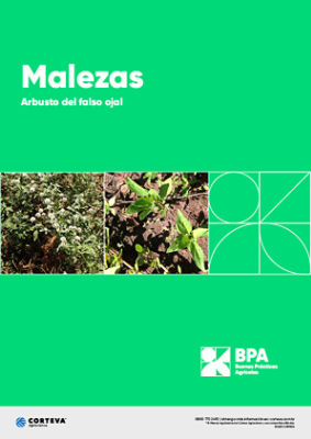 Malezas: Arbusto del falso ojal