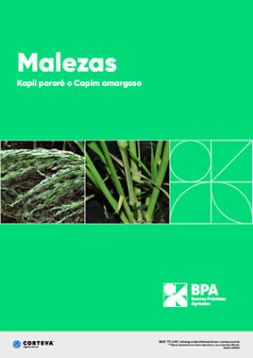 Malezas: Kapií pororó o Capim amargoso