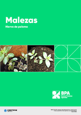 Malezas: Hierva de Paloma
