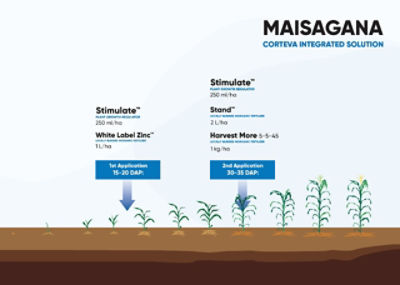 Crop Stages