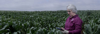 woman in field inspecting crops