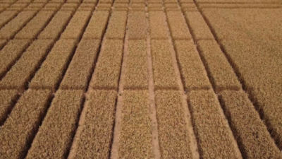 2 VERBEN-Key Benefits