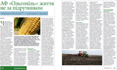 стаття-зерно