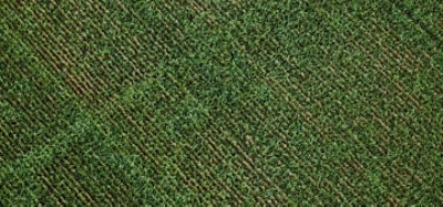 To The Power Of Pioneer