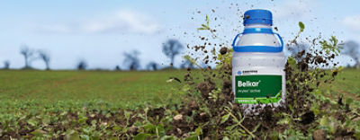 OSR weed control