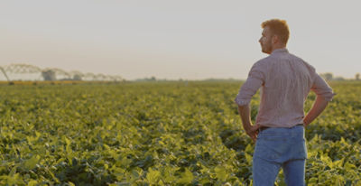 farmer standing facing a field