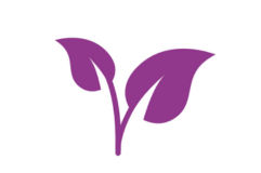 Adecuada dispersión en diferentes tipos de hojas