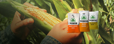 Ви дбаєте про поле, ми про насіння для нього