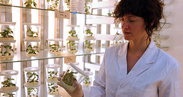 Photograph__H__8190_copy