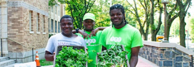A Bronx School Garden Program: Serving Up Good Hydroponically