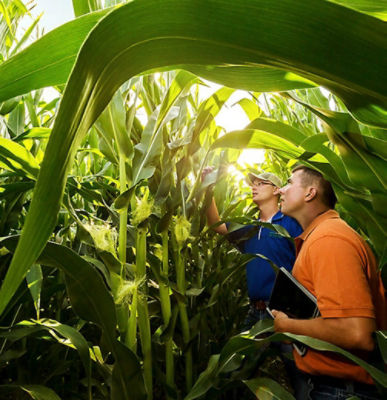 pioneer satış temsilcileri arazide