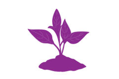 Mejor cobertura sobre el follaje