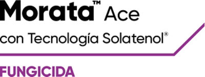 morata ace