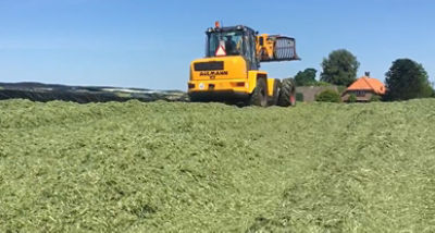 Korte video: Wat gebeurt er in de graskuil?