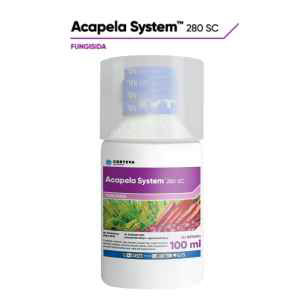 Acapela System 280 SC