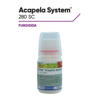 Acapela System 280 SC