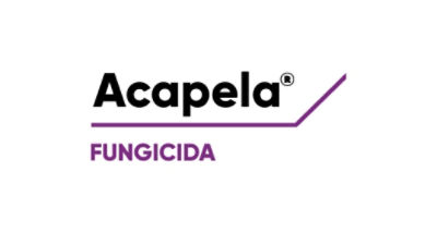 Logo de Acapela
