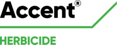 Accent logo