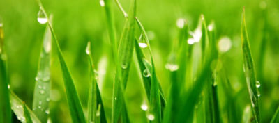 AdobeStock_129684795