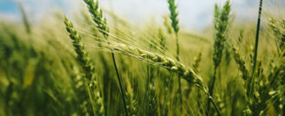 AdobeStock_133819209