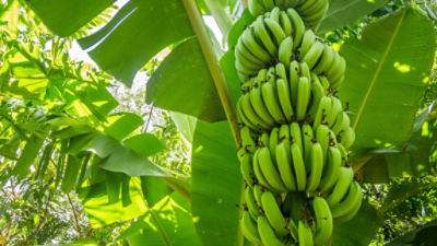 AdobeStock_135433448