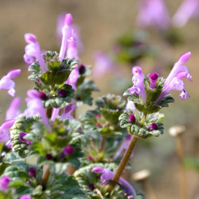 AdobeStock_138901571