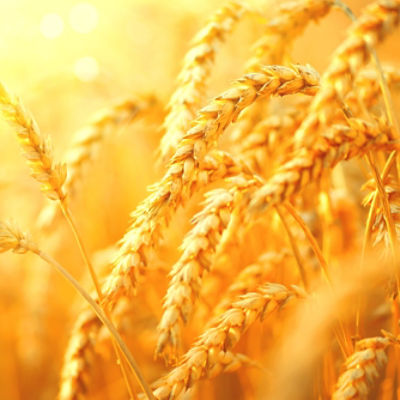 AdobeStock_142791421