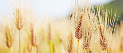 AdobeStock_203870552