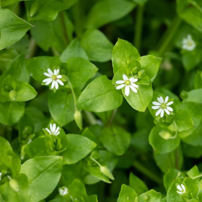 AdobeStock_214023991