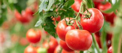 AdobeStock_250149090_edited