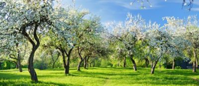 AdobeStock_257115860_edited