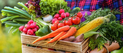 AdobeStock_327638419_Latest