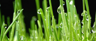 AdobeStock_340837374_article