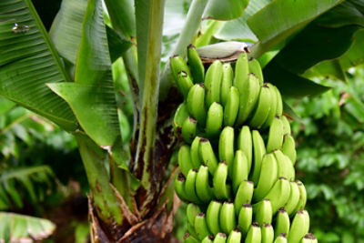 AdobeStock_380044050