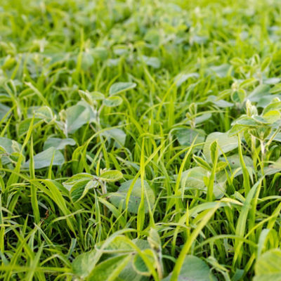 AdobeStock_437792728