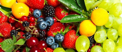 AdobeStock_485266032_v2.jpeg