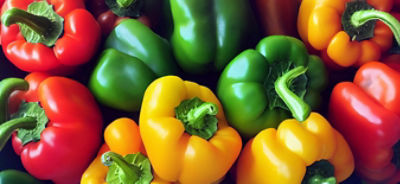 AdobeStock_527677637_new