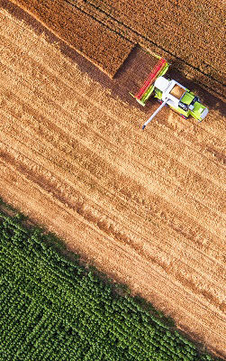 Aerial-view-of-combine-on-harvest-field-Desktop