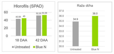 Article infograph 5.JPG