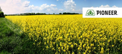 Article Hero Image OSR MAXIMUS Desktop 1024 x 450