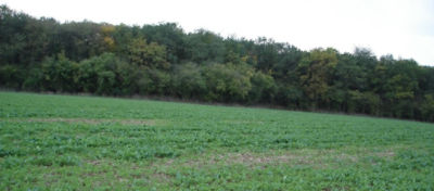 Article Hero Image Belkar Desktop 1024 x 450